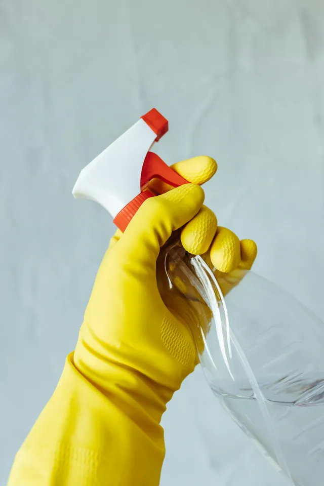 Professional cleaning services in San Jose